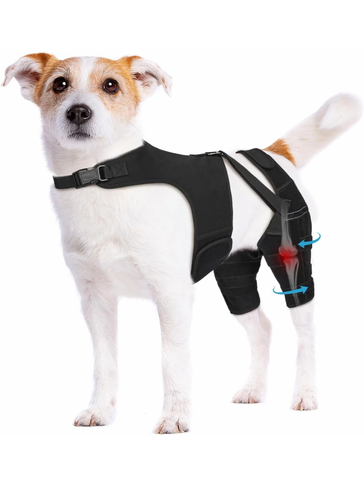 Tutore Doppio per Zampe Posteriori del Cane | Supporto Ginocchia Regolabile XS-XXL