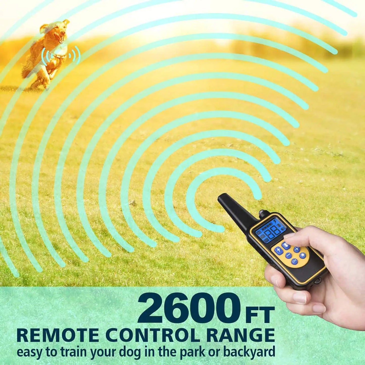Collare Elettronico da Addestramento per Cani – Dispositivo Antiabbaio Impermeabile IPX7 con Telecomando a Distanza (800m) e 3 Modalità di Correzione