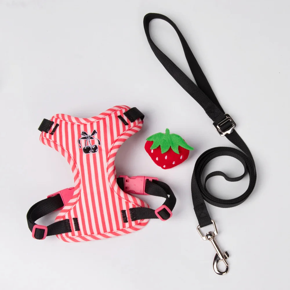 Set Pettorina e Guinzaglio per Cani Regolabile e Imbottita | Design Fashion XS-L