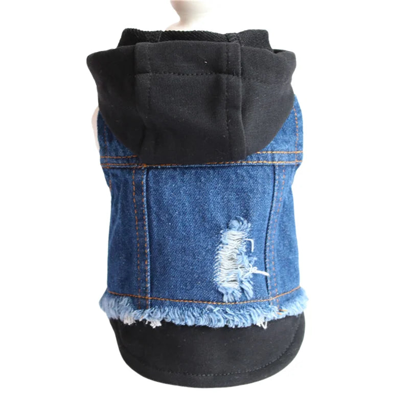 Giacca Jeans per Cani con Cappuccio e Design a Strati | XS-XXL