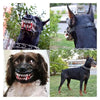 Maschera Mostro Halloween per Cani – Costume Effetto Museruola con Denti 3D