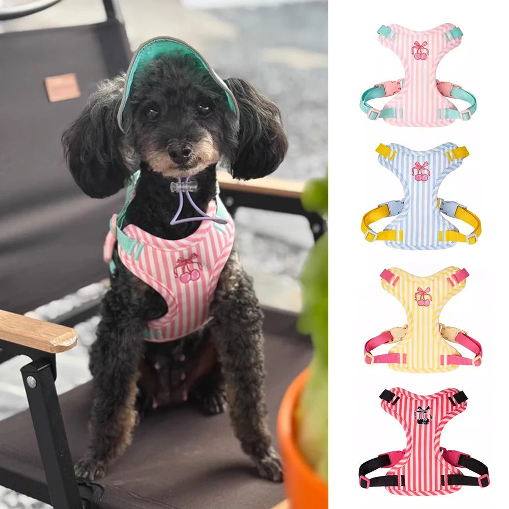 Set Pettorina e Guinzaglio per Cani Regolabile e Imbottita | Design Fashion XS-L