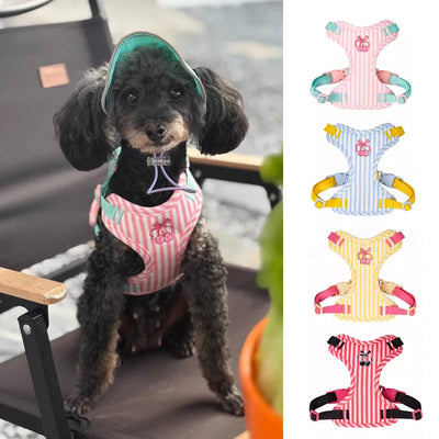 Set Pettorina e Guinzaglio per Cani Regolabile e Imbottita | Design Fashion XS-L