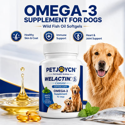 Integratore Omega-3 per Cani con EPA e DHA – Olio di Pesce, 120 Softgel