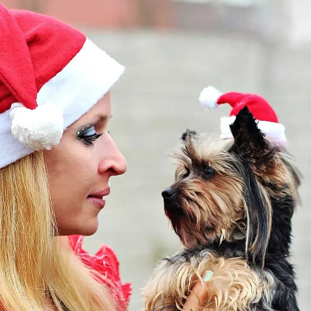 Cappellino di Natale per Cani e Gatti – Cappello Babbo Natale per Cuccioli – Costume Natalizio Accessorio Feste Capodanno