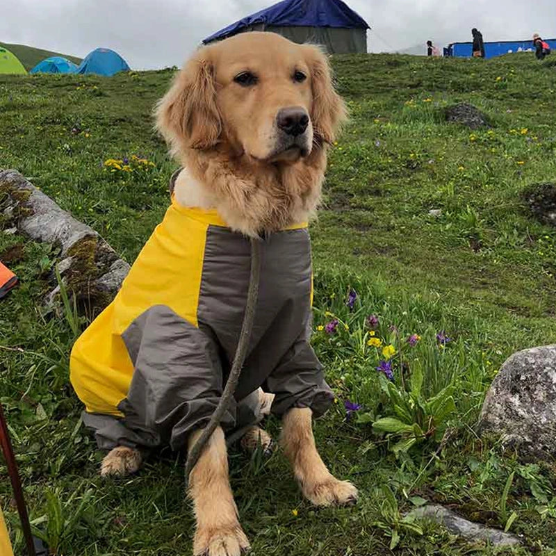 Impermeabile per Cani 4 Zampe con Cappuccio – Tuta Antipioggia per Cani Piccoli, Medi e Grandi