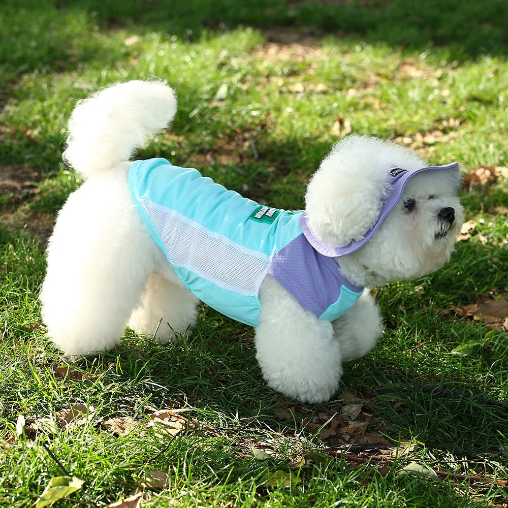 Gilet Rinfrescante Estivo per Cani con Protezione UV | Traspirante XS-3XL