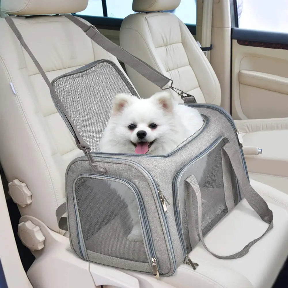 Trasportino Morbido per Cani e Gatti Omologato per Aereo – Borsa da Viaggio Impermeabile con Rete Antigraffio, Tracolla e Cuscino in Pile Removibile
