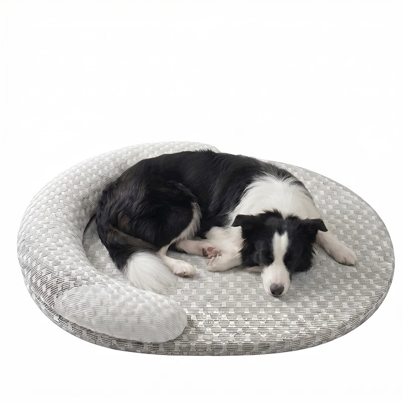 Cooling Dog Bed Oval – Cuccia Refrigerante Ovale per Cani e Gatti, Letto Rinfrescante ad Alta Dissipazione di Calore con Cuscino Ergonomico e Fodera Lavabile