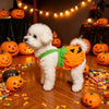 Costume Zucca Halloween per Cani e Gatti – Vestito Arancione Regolabile