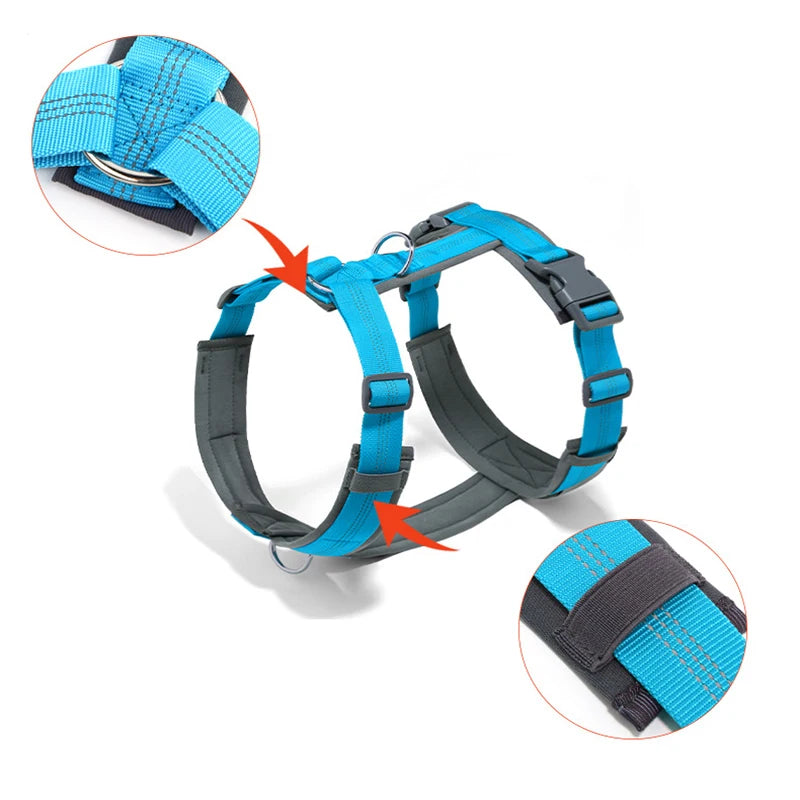 Pettorina ad H per Cani Regolabile, Imbottita e Riflettente | XS-XL