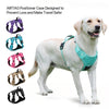 Pettorina per Cani con Porta AirTag/GPS, Riflettente e Antifuga | S-XL
