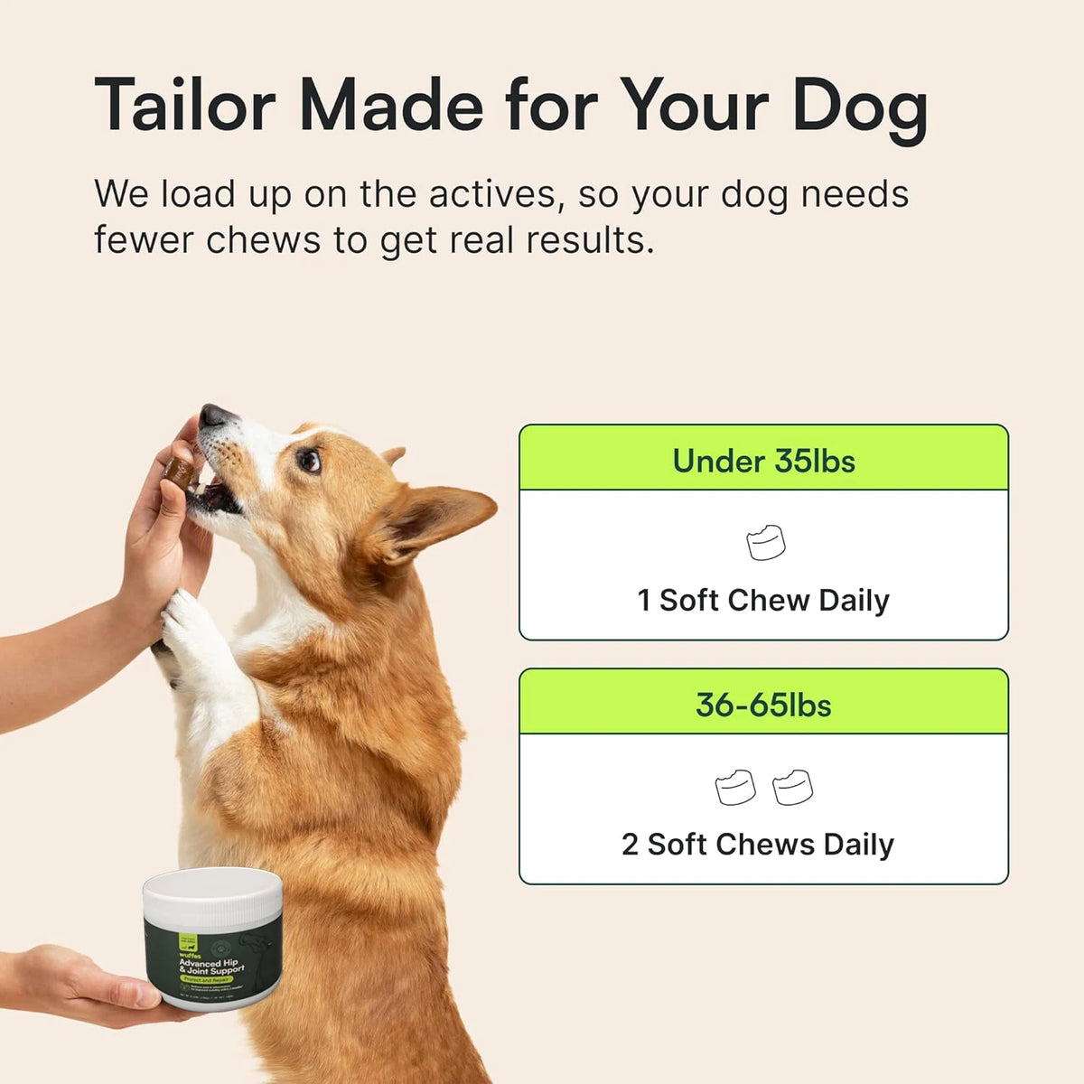 Advanced Hip & Joint Support – Integratore Articolazioni Cani con Glucosamina, MSM e Omega-3 – Soft Chews