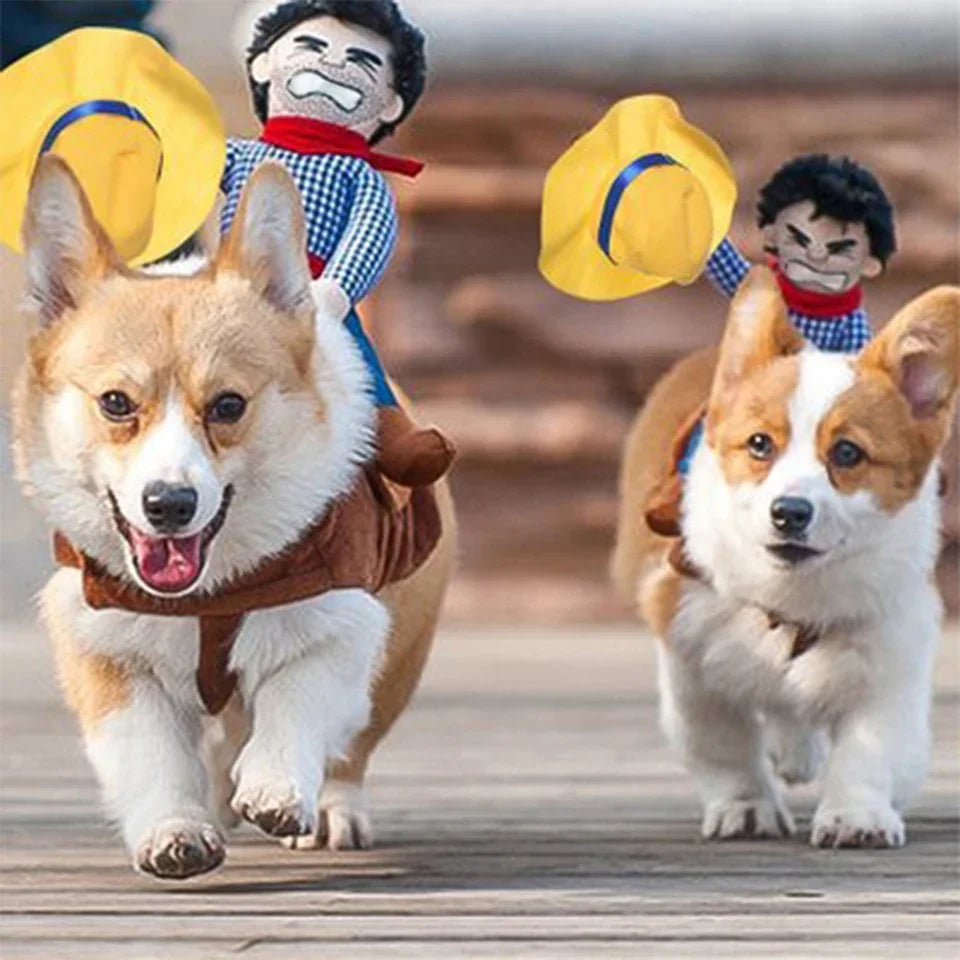 Costume Cowboy Halloween per Cani – Divertente Travestimento per Cani di Piccola e Grande Taglia