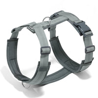 Pettorina ad H per Cani Regolabile, Imbottita e Riflettente | XS-XL – Grey