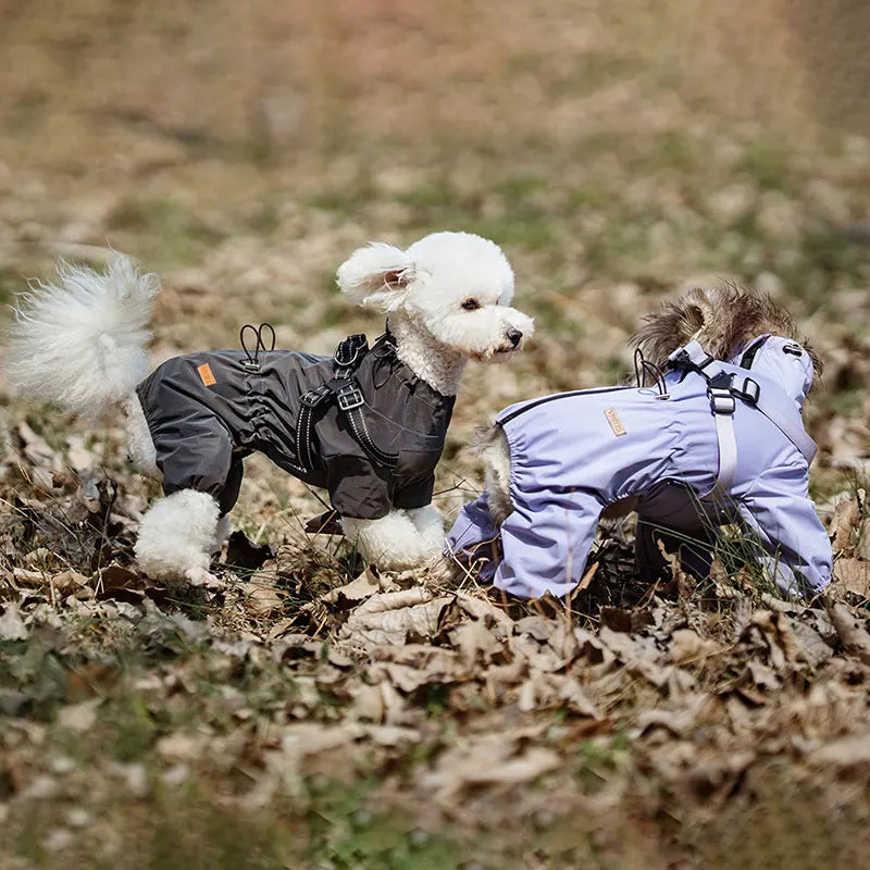 Impermeabile per Cani con Pettorina Integrata – Tuta 4 Zampe Riflettente e Regolabile