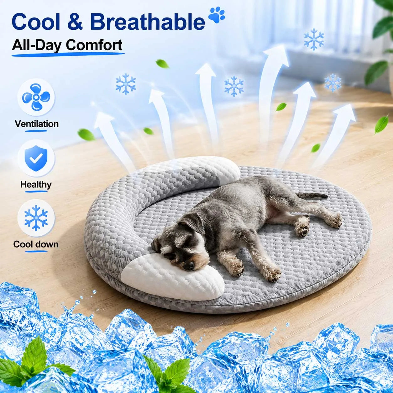 Cooling Dog Bed Oval – Cuccia Refrigerante Ovale per Cani e Gatti, Letto Rinfrescante ad Alta Dissipazione di Calore con Cuscino Ergonomico e Fodera Lavabile