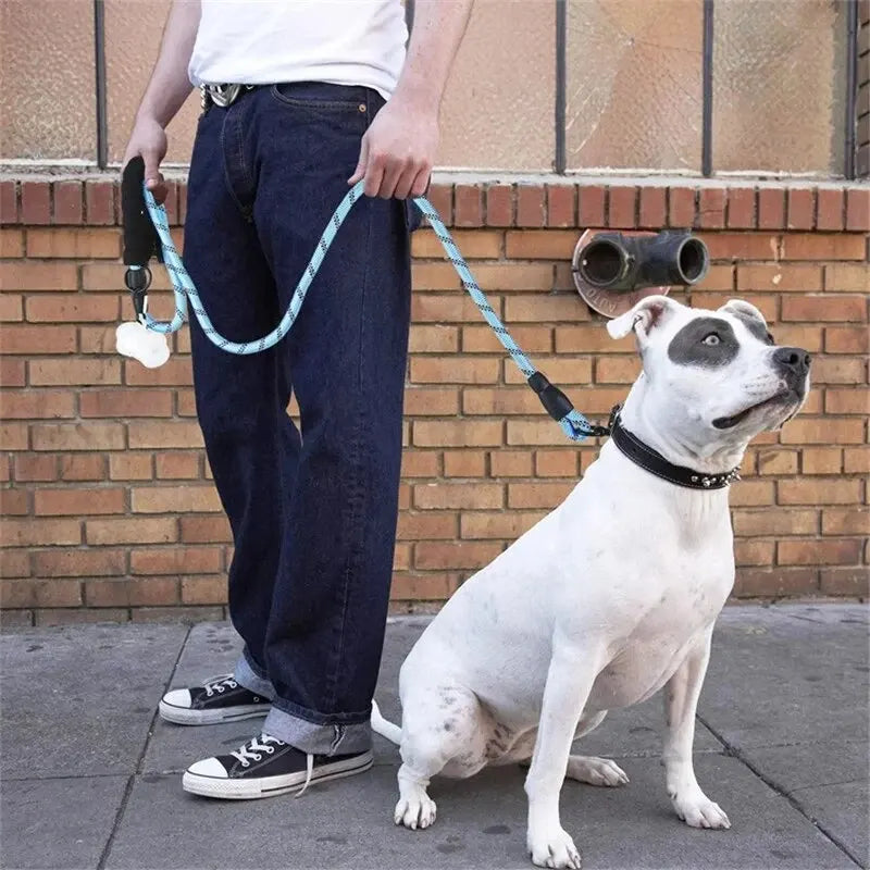 Guinzaglio Riflettente per Cani con Doppia Corda e Maniglia Imbottita | 150, 200 e 300 cm
