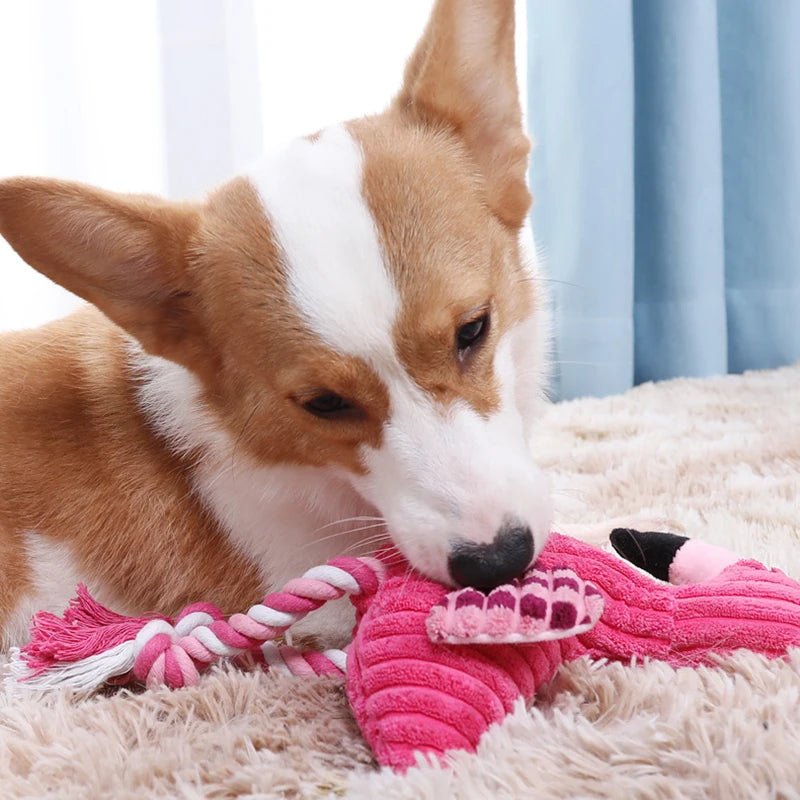 Gioco Peluche per Cani con Squeaker e Corda | Fenicottero Interattivo