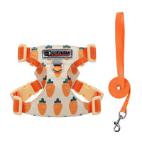 Set Pettorina e Guinzaglio per Cani Piccoli Regolabile e Imbottito | XXS-M – set C