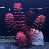 Pianta Artificiale per Acquario – Decorazione Realistica in Plastica – Erba Acquatica Subacquea per Allestimento Vasca Pesci