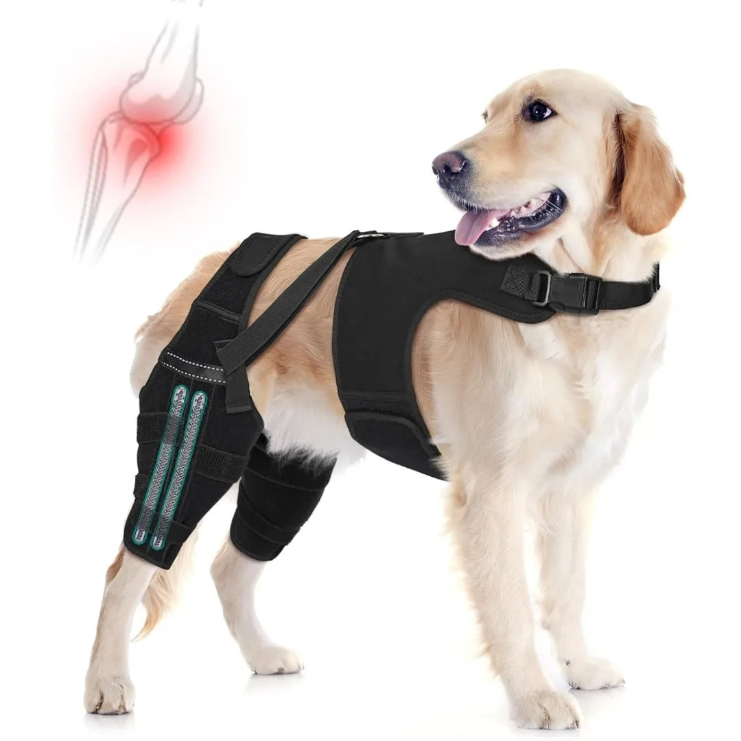 Tutore Doppio per Zampe Posteriori del Cane | Supporto Ginocchia Regolabile XS-XXL