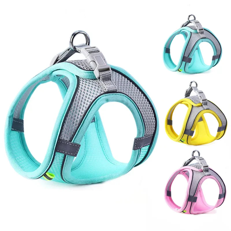 Pettorina Regolabile per Cani e Gatti con Guinzaglio | Set Harness Vest Traspirante Riflettente
