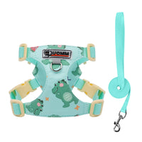 Set Pettorina e Guinzaglio per Cani Piccoli Regolabile e Imbottito | XXS-M – set D