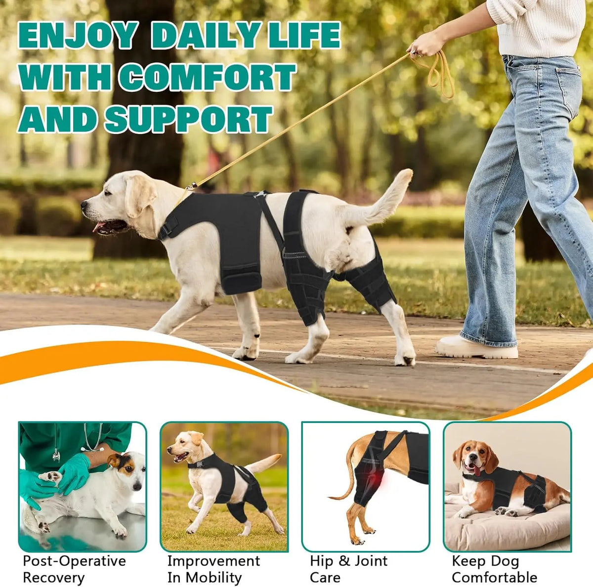Tutore Doppio per Zampe Posteriori del Cane | Supporto Ginocchia Regolabile XS-XXL