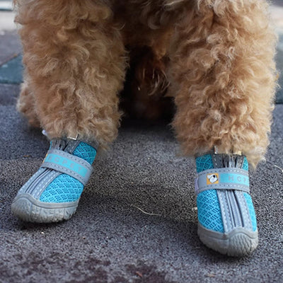 Scarpe per Cani Anti-Scivolo e Traspiranti: Massima Protezione e Comfort per Ogni Terreno