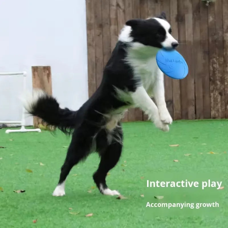 Frisbee per Cani Resistente e Galleggiante | Gioco 2-in-1 Ciotola - Partenopet