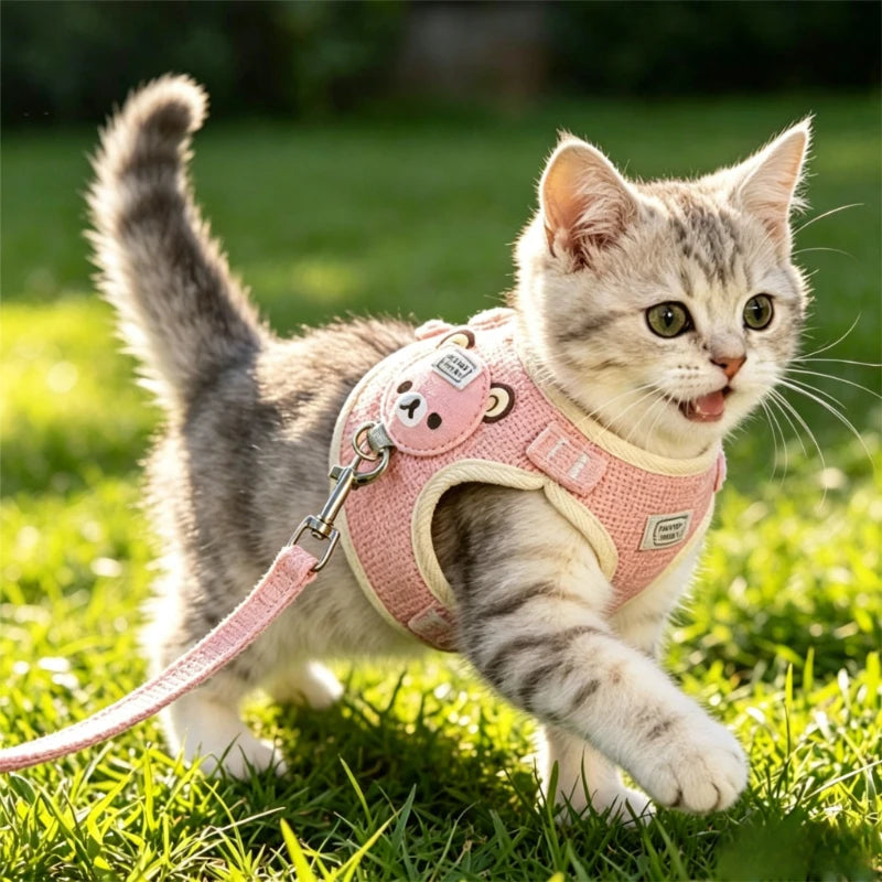 Pettorina a Gilet per Gatti e Cani Piccoli con Guinzaglio 120 cm | S-M