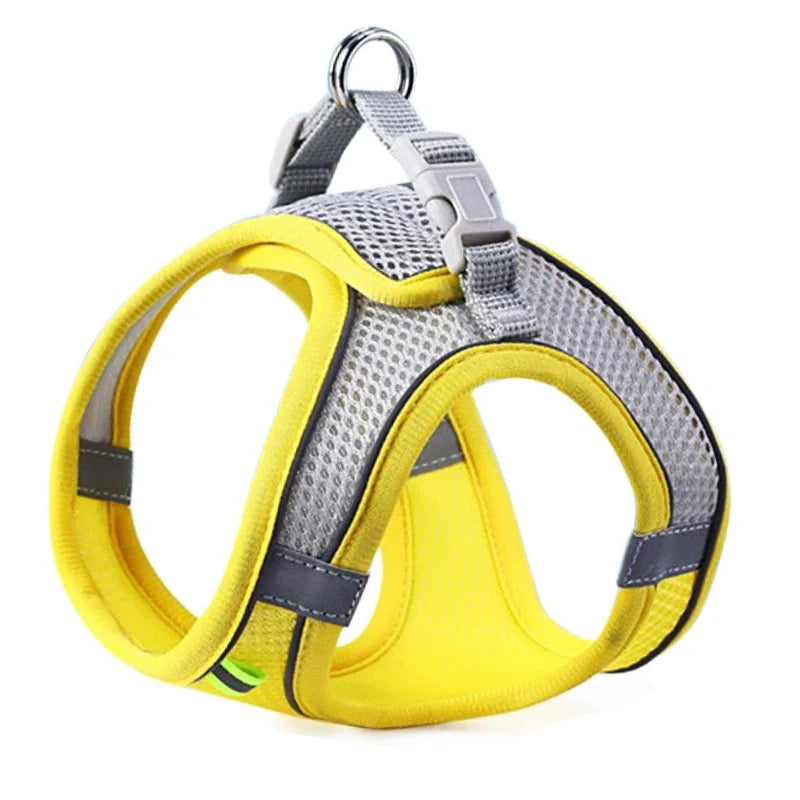 Pettorina Regolabile per Cani e Gatti con Guinzaglio | Set Harness Vest Traspirante Riflettente