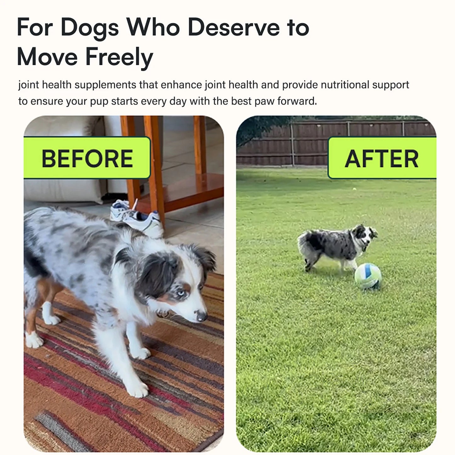 Advanced Hip & Joint Support – Integratore Articolazioni Cani con Glucosamina, MSM e Omega-3 – Soft Chews
