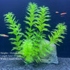 Pianta Artificiale per Acquario – Decorazione Realistica in Plastica – Erba Acquatica Subacquea per Allestimento Vasca Pesci