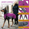 Cappotto Invernale per Cani con Cappuccio e Fascia Riflettente | S-XXXL