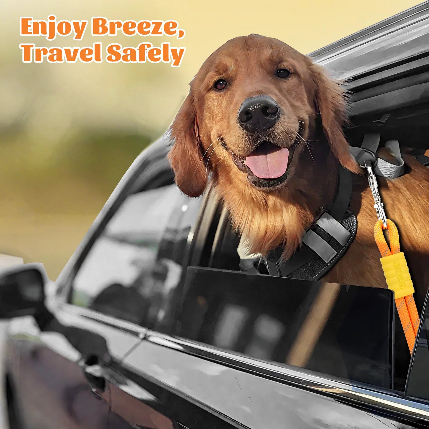 Cintura di Sicurezza per Cani in Auto con Doppia Corda | Guinzaglio Riflettente con Moschettone Girevole a 360°