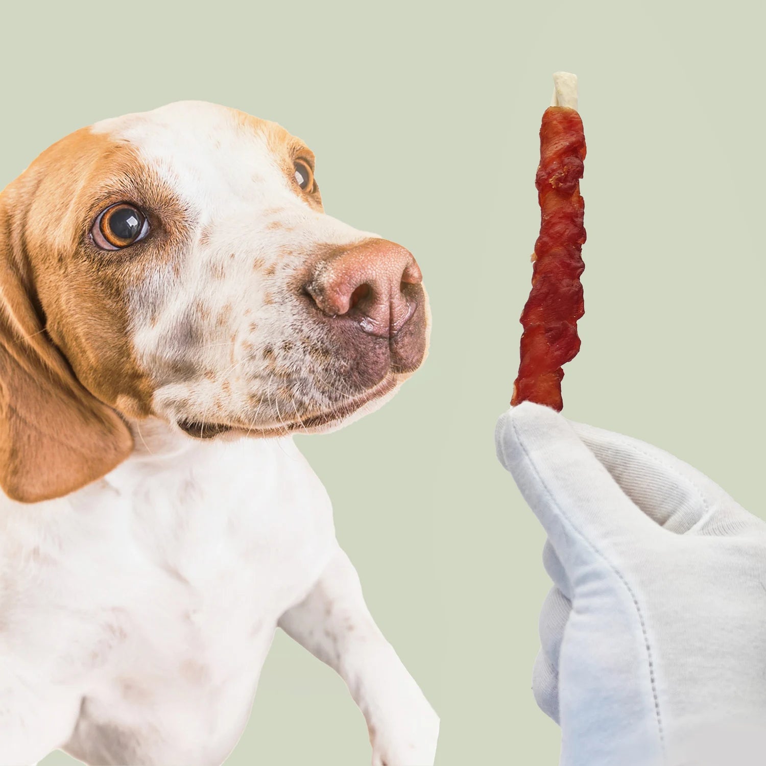 Snack Masticativo per Cani Mersjo con Anatra e Pelle Naturale 500 g – Bastoncini Twist