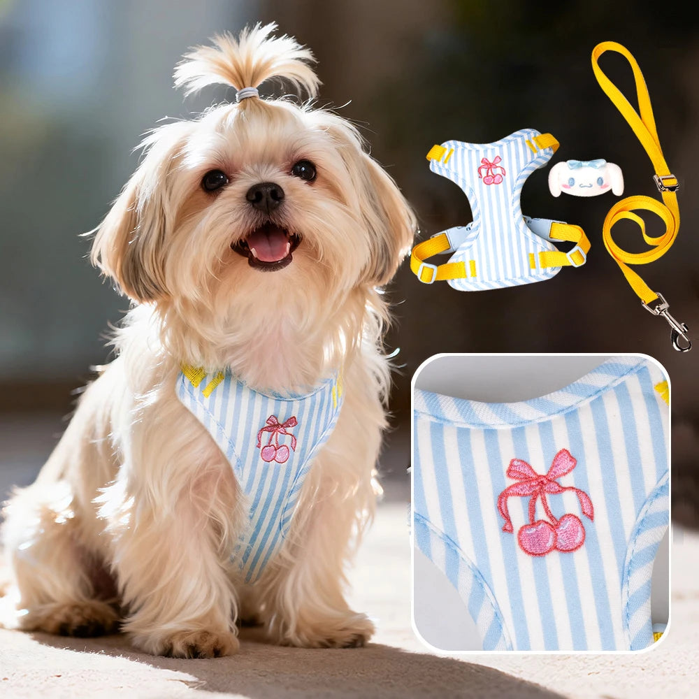Set Pettorina e Guinzaglio per Cani Regolabile e Imbottita | Design Fashion XS-L