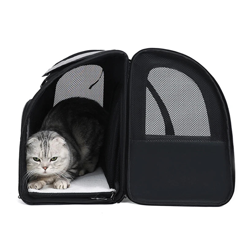 Zaino Trasportino Espandibile per Gatti e Cani di Piccola Taglia | Trasportino con Rete Traspirante, Parasole e Tasche Porta Accessori