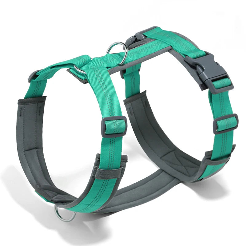 Pettorina ad H per Cani Regolabile, Imbottita e Riflettente | XS-XL