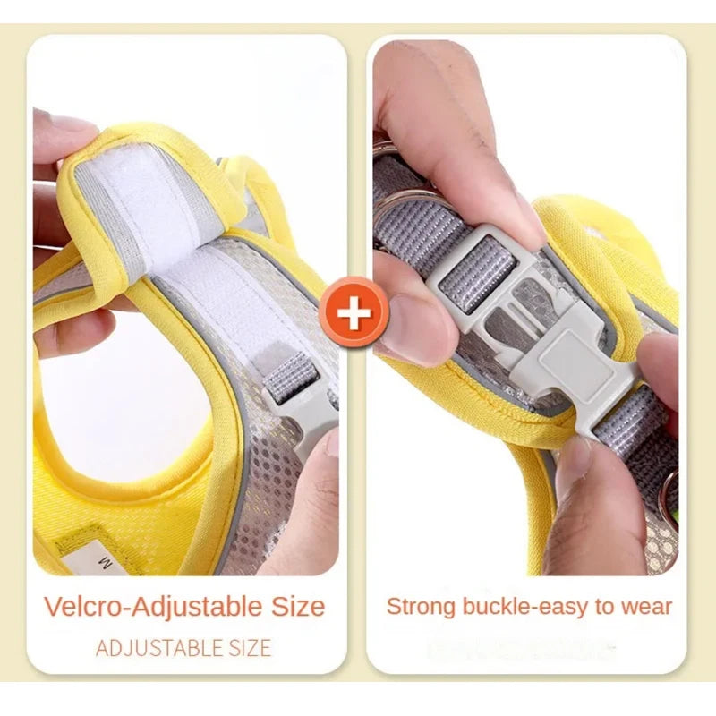 Pettorina Regolabile per Cani e Gatti con Guinzaglio | Set Harness Vest Traspirante Riflettente