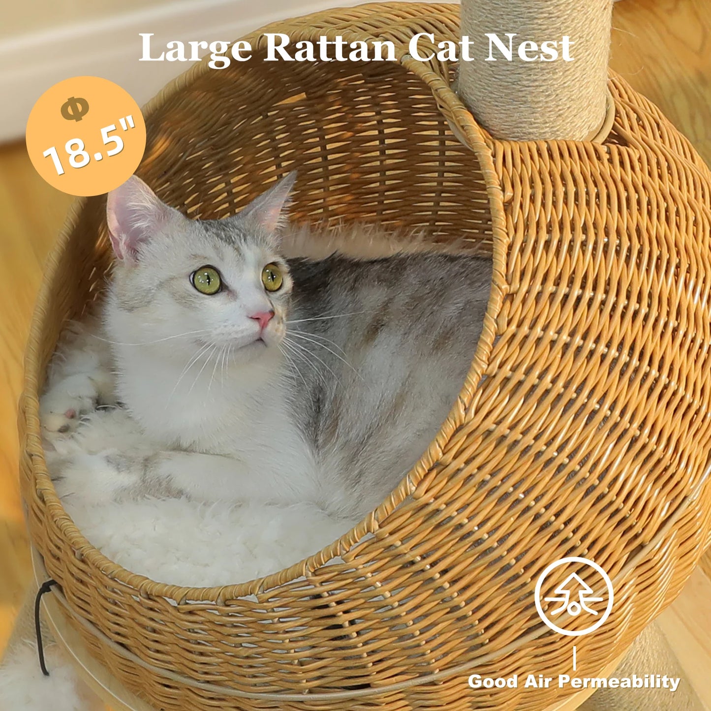 Tiragraffi per Gatti Dinosauro 116 cm con Cuccia in Rattan e Sisal