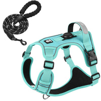 Pettorina per Cani con Porta AirTag e Guinzaglio | No Pull Riflettente M-XL – mint green set