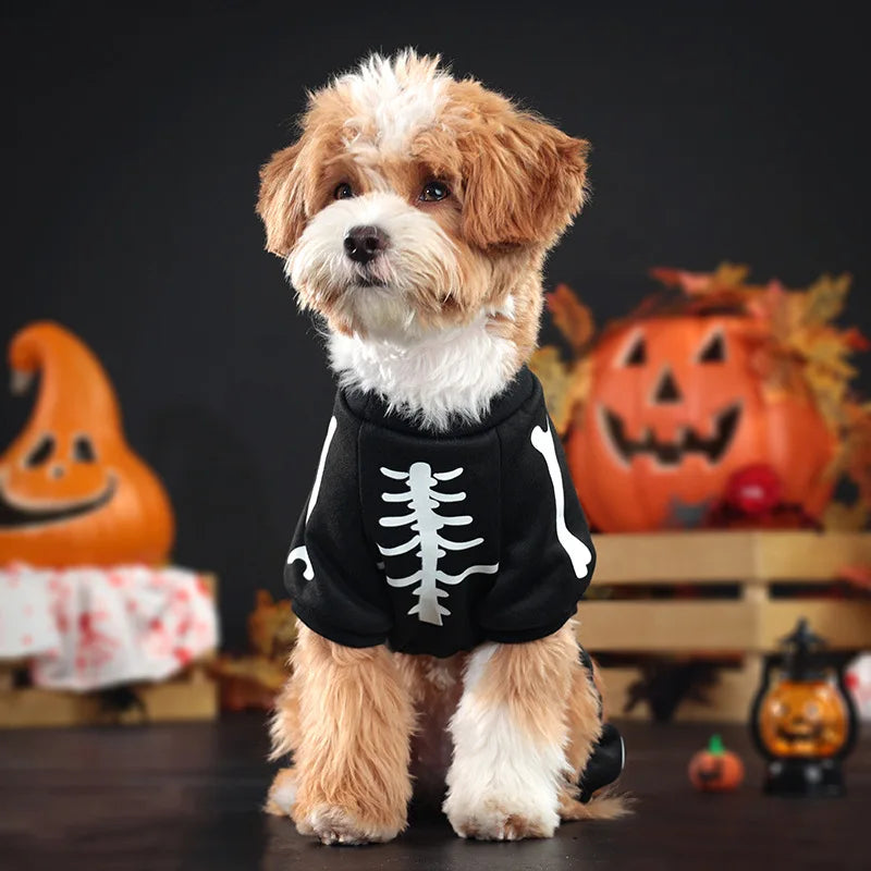 Costume Scheletro Halloween per Cani Fosforescente – Tutina Nera per Cani Piccoli e Medi