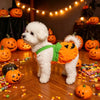 Costume Zucca Halloween per Cani e Gatti – Vestito Arancione Regolabile