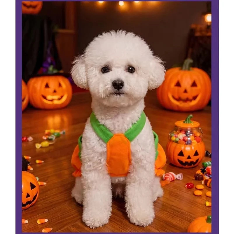 Costume Zucca Halloween per Cani e Gatti – Vestito Arancione Regolabile