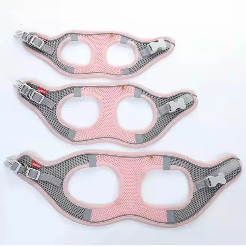 Pettorina Regolabile per Cani e Gatti con Guinzaglio | Set Harness Vest Traspirante Riflettente