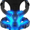 Pettorina per Cani con Led Ricaricabile – Imbracatura Luminosa Riflettente e Traspirante per Passeggiate Notturne Sicure