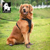 Truelove TLS3963 Scarpe Impermeabili per Cani con Suola Antiscivolo e Fasce Riflettenti